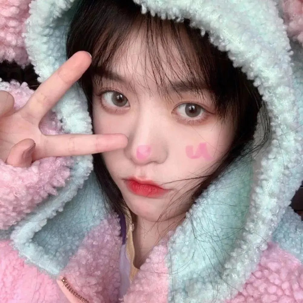 知否知否却道海棠依旧